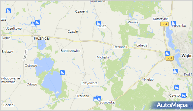 mapa Michałki gmina Ryńsk, Michałki gmina Ryńsk na mapie Targeo