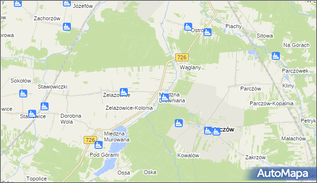 mapa Miedzna Drewniana, Miedzna Drewniana na mapie Targeo