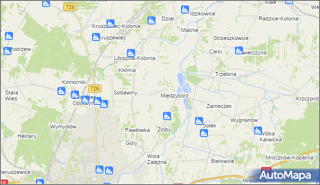 mapa Międzybórz gmina Opoczno, Międzybórz gmina Opoczno na mapie Targeo