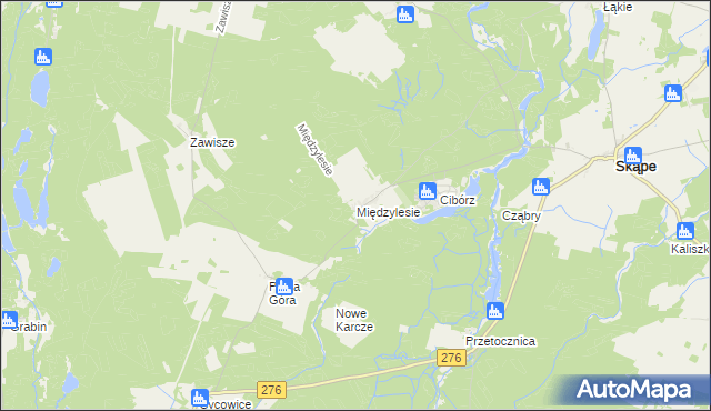 mapa Międzylesie gmina Skąpe, Międzylesie gmina Skąpe na mapie Targeo