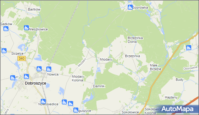 mapa Miodary gmina Dobroszyce, Miodary gmina Dobroszyce na mapie Targeo