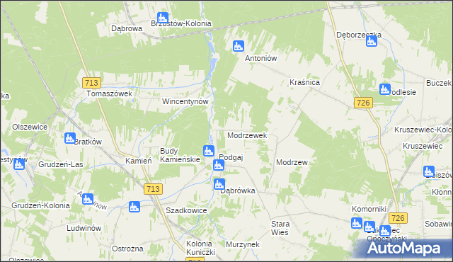 mapa Modrzewek gmina Opoczno, Modrzewek gmina Opoczno na mapie Targeo