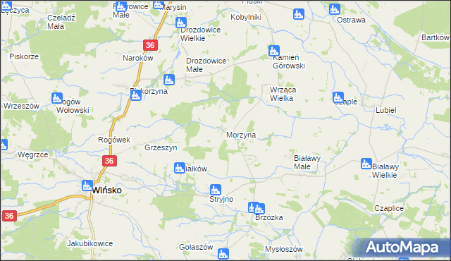 mapa Morzyna, Morzyna na mapie Targeo