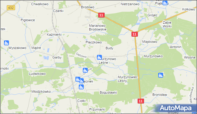 mapa Murzynowo Leśne, Murzynowo Leśne na mapie Targeo