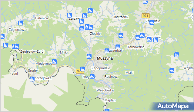 mapa Muszyna, Muszyna na mapie Targeo