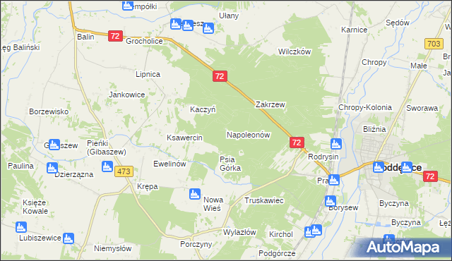 mapa Napoleonów gmina Poddębice, Napoleonów gmina Poddębice na mapie Targeo