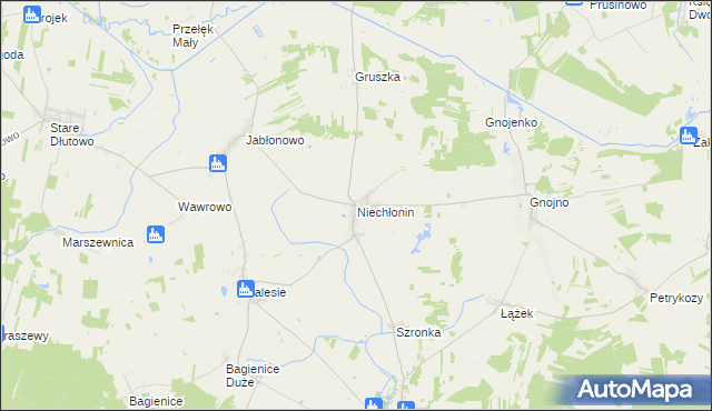 mapa Niechłonin, Niechłonin na mapie Targeo