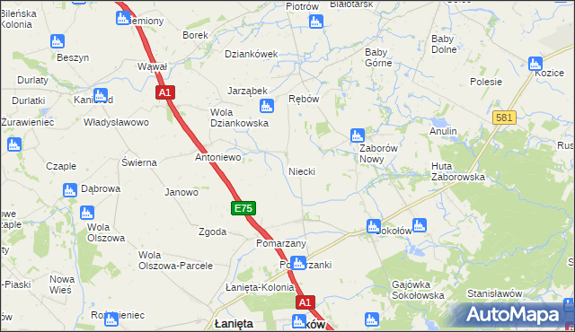 mapa Niecki gmina Gostynin, Niecki gmina Gostynin na mapie Targeo