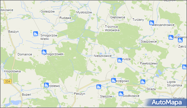 mapa Nieszkowice gmina Wołów, Nieszkowice gmina Wołów na mapie Targeo