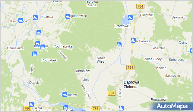 mapa Nowa Wieś gmina Dąbrowa Zielona, Nowa Wieś gmina Dąbrowa Zielona na mapie Targeo