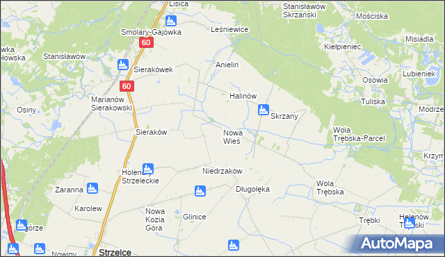 mapa Nowa Wieś gmina Gostynin, Nowa Wieś gmina Gostynin na mapie Targeo