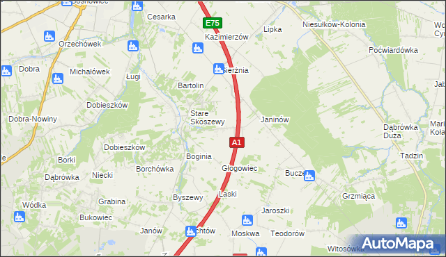 mapa Nowe Skoszewy, Nowe Skoszewy na mapie Targeo