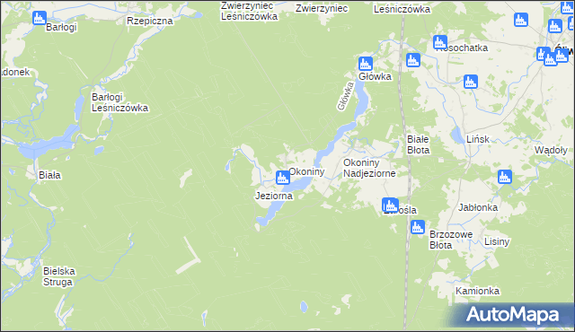 mapa Okoniny gmina Śliwice, Okoniny gmina Śliwice na mapie Targeo