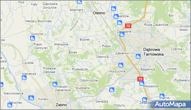 mapa Oleśnica gmina Olesno, Oleśnica gmina Olesno na mapie Targeo