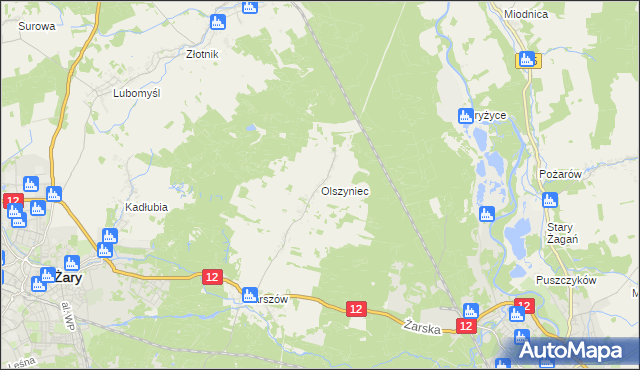 mapa Olszyniec gmina Żary, Olszyniec gmina Żary na mapie Targeo