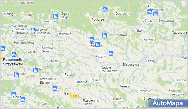 mapa Olszyny gmina Rzepiennik Strzyżewski, Olszyny gmina Rzepiennik Strzyżewski na mapie Targeo