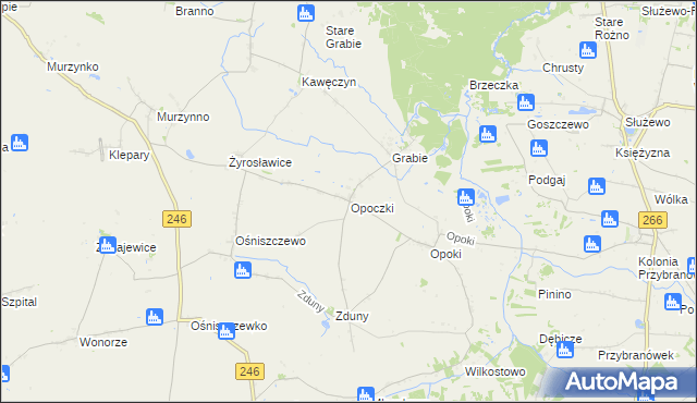 mapa Opoczki, Opoczki na mapie Targeo