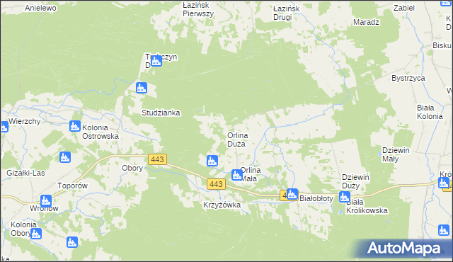 mapa Orlina Duża, Orlina Duża na mapie Targeo