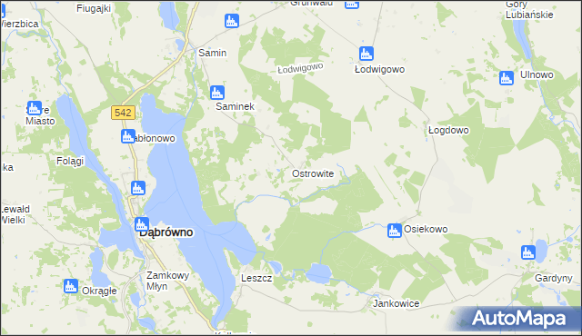mapa Ostrowite gmina Dąbrówno, Ostrowite gmina Dąbrówno na mapie Targeo