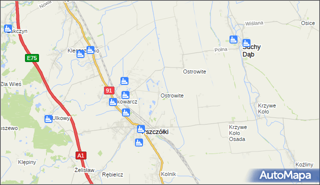 mapa Ostrowite gmina Pszczółki, Ostrowite gmina Pszczółki na mapie Targeo