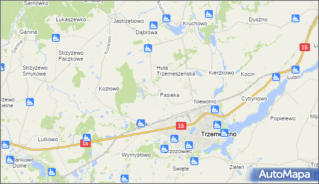 mapa Pasieka gmina Trzemeszno, Pasieka gmina Trzemeszno na mapie Targeo
