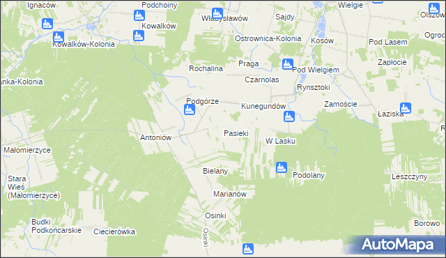 mapa Pasieki gmina Ciepielów, Pasieki gmina Ciepielów na mapie Targeo