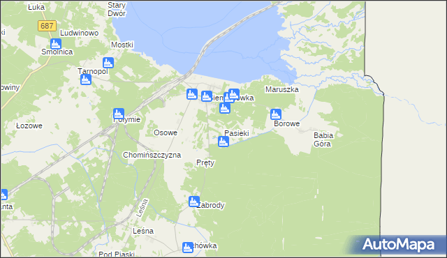 mapa Pasieki gmina Narewka, Pasieki gmina Narewka na mapie Targeo