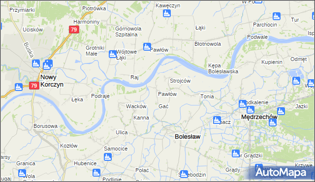 mapa Pawłów gmina Bolesław, Pawłów gmina Bolesław na mapie Targeo