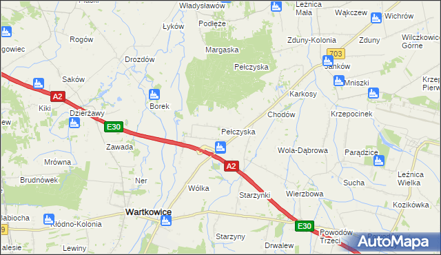 mapa Pełczyska gmina Wartkowice, Pełczyska gmina Wartkowice na mapie Targeo