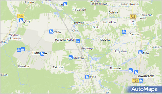 mapa Petrykozy gmina Białaczów, Petrykozy gmina Białaczów na mapie Targeo