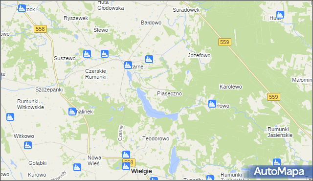 mapa Piaseczno gmina Wielgie, Piaseczno gmina Wielgie na mapie Targeo