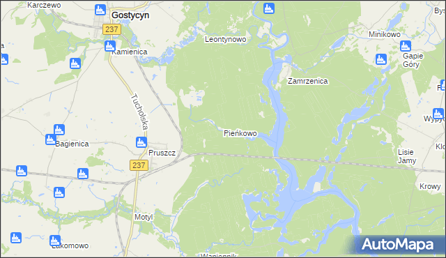 mapa Pieńkowo gmina Gostycyn, Pieńkowo gmina Gostycyn na mapie Targeo