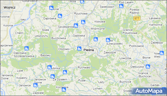 mapa Pleśna powiat tarnowski, Pleśna powiat tarnowski na mapie Targeo