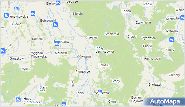 mapa Plęsy gmina Galewice, Plęsy gmina Galewice na mapie Targeo