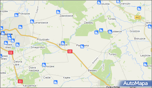 mapa Pleszówka, Pleszówka na mapie Targeo