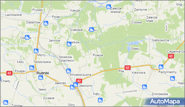 mapa Polesie gmina Rudniki, Polesie gmina Rudniki na mapie Targeo