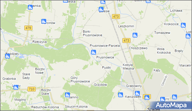 mapa Prusinowice gmina Szadek, Prusinowice gmina Szadek na mapie Targeo