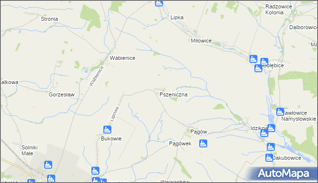 mapa Pszeniczna, Pszeniczna na mapie Targeo