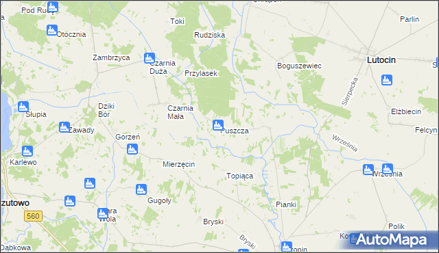 mapa Puszcza gmina Rościszewo, Puszcza gmina Rościszewo na mapie Targeo