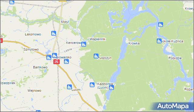 mapa Puszczyn gmina Koronowo, Puszczyn gmina Koronowo na mapie Targeo