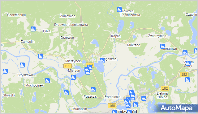 mapa Radgoszcz gmina Międzychód, Radgoszcz gmina Międzychód na mapie Targeo