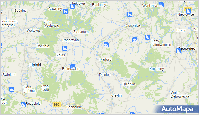mapa Radość gmina Dębowiec, Radość gmina Dębowiec na mapie Targeo