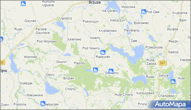 mapa Radzynek, Radzynek na mapie Targeo