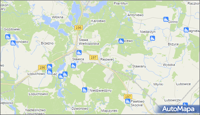 mapa Rejowiec gmina Skoki, Rejowiec gmina Skoki na mapie Targeo