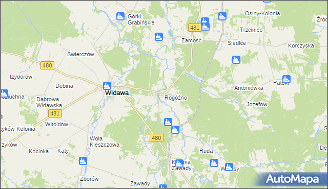 mapa Rogóźno gmina Widawa, Rogóźno gmina Widawa na mapie Targeo