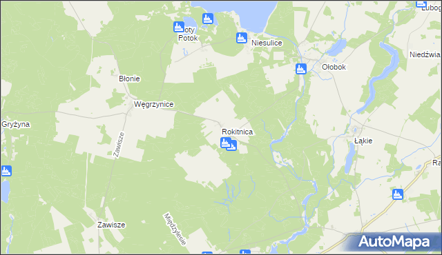 mapa Rokitnica gmina Skąpe, Rokitnica gmina Skąpe na mapie Targeo