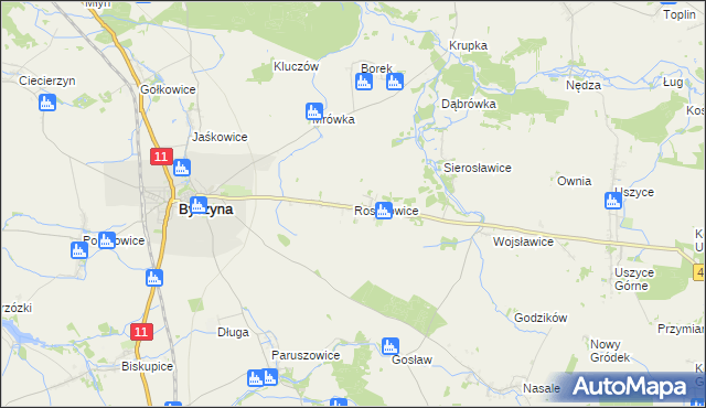 mapa Roszkowice gmina Byczyna, Roszkowice gmina Byczyna na mapie Targeo