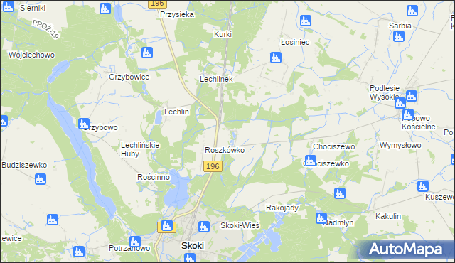 mapa Roszkowo gmina Skoki, Roszkowo gmina Skoki na mapie Targeo