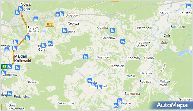 mapa Rusinów gmina Majdan Królewski, Rusinów gmina Majdan Królewski na mapie Targeo