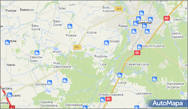 mapa Ruszków gmina Gostynin, Ruszków gmina Gostynin na mapie Targeo